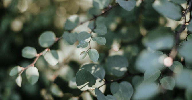 The Ripple Effect: Preventing Chronic Pain Years After Your Milton Car Accident image